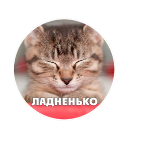 Кошка страйт